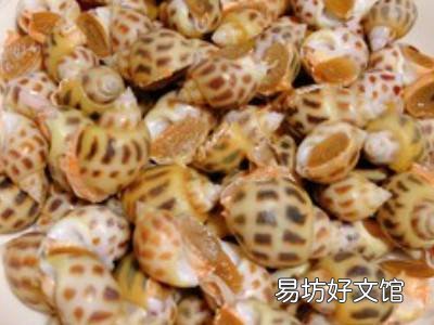黄螺的做法