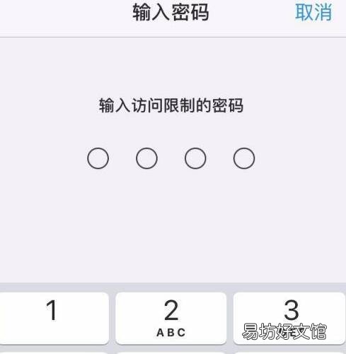 苹果ios14的访问限制在哪