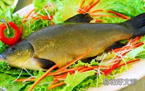 丁桂鱼有什么营养价值与功效?