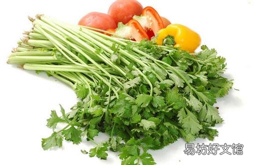 芹菜叶比芹菜茎还营养