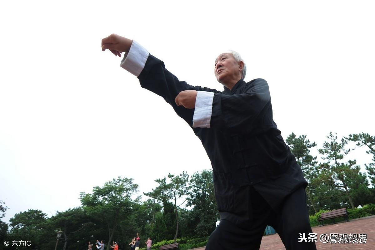 国内最有名的10种拳术一览 中国十大武术排名