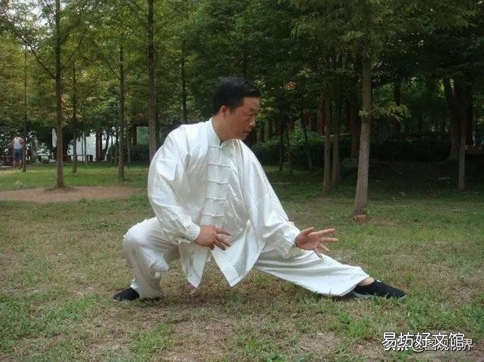 国内最有名的10种拳术一览 中国十大武术排名