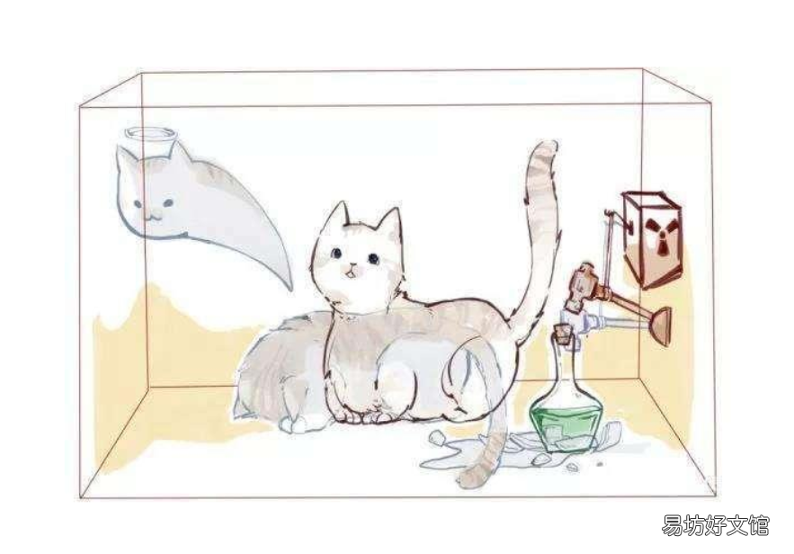 薛定谔的猫比喻什么 薛定谔的猫是什么定律