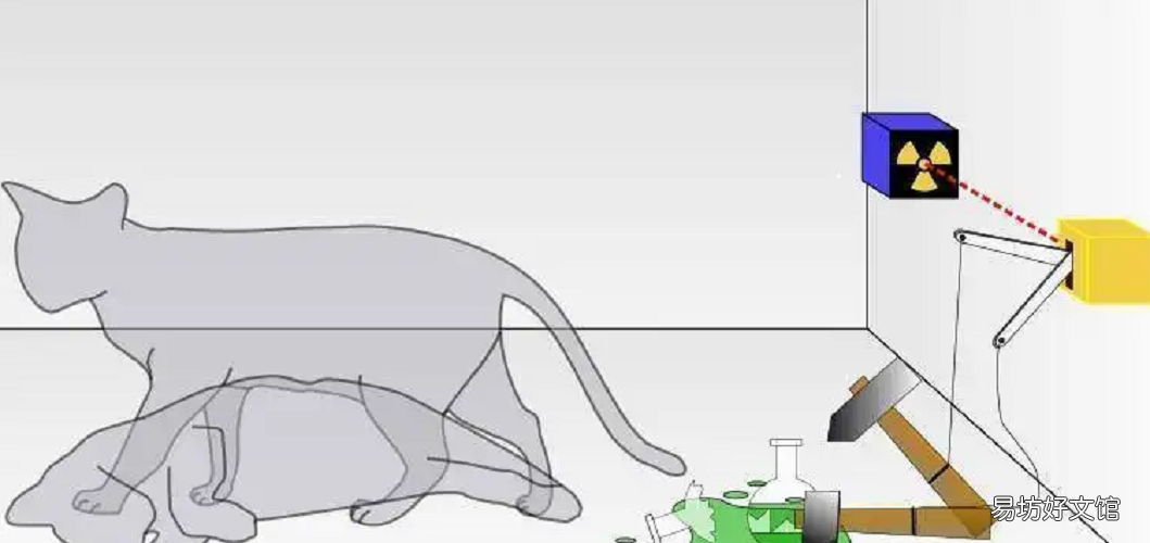 薛定谔的猫比喻什么 薛定谔的猫是什么定律