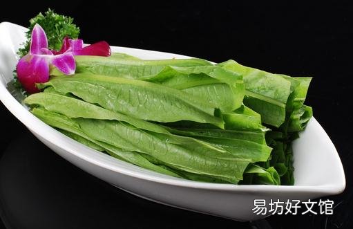 油麦菜怎么吃最有营养