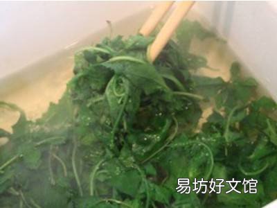新鲜蒲公英怎么吃