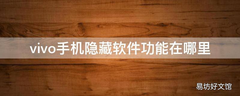vivo手机隐藏软件功能在哪里