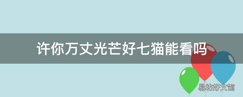 许你万丈光芒好七猫能看吗