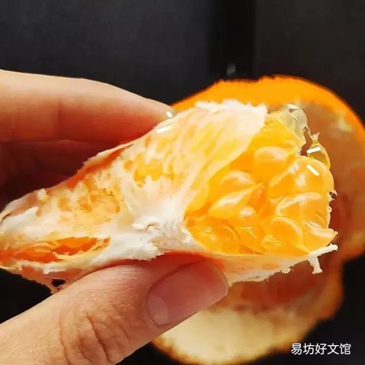 丑橘和粑粑柑哪个更好吃 丑橘和耙耙柑的区别