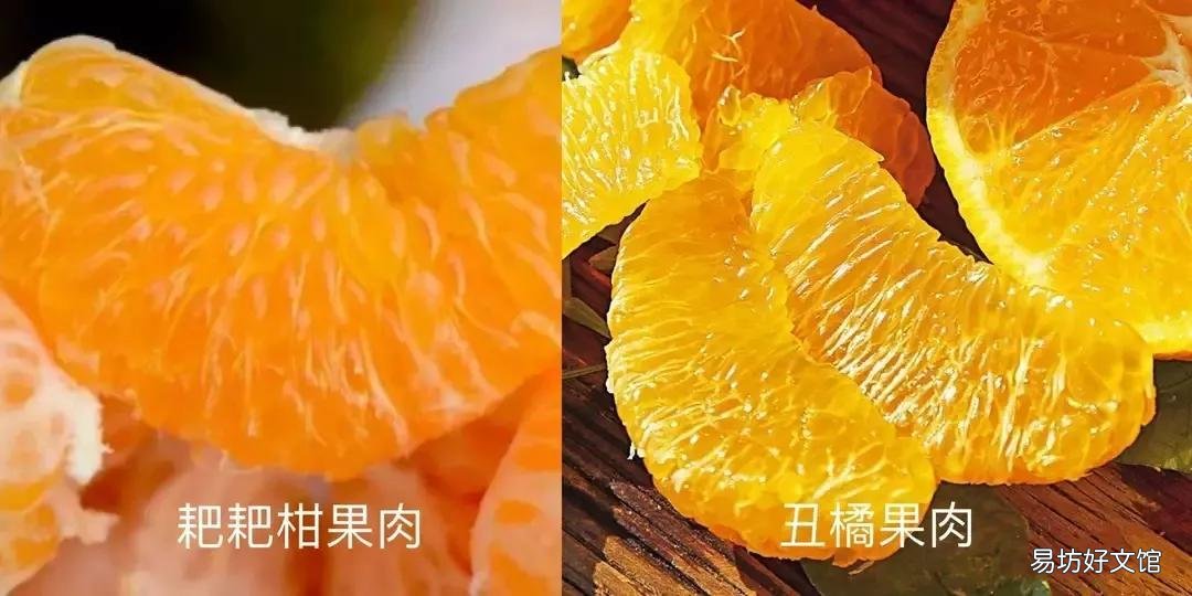 丑橘和粑粑柑哪个更好吃 丑橘和耙耙柑的区别