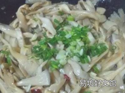 大叶蘑菇怎么炒好吃