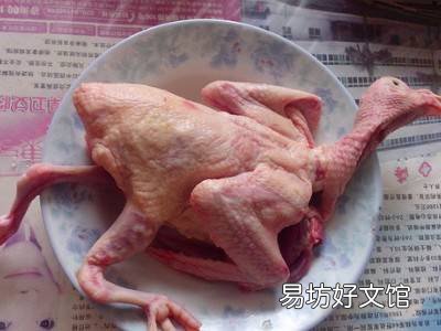 怎么炖鸽子