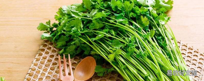 香菜的吃法有哪些
