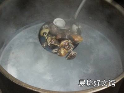 清炖花蛤汤的做法