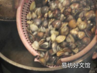 清炖花蛤汤的做法