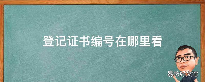登记证书编号在哪里看