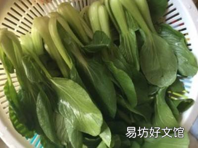 青菜怎么做好吃