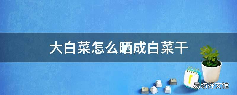 大白菜怎么晒成白菜干