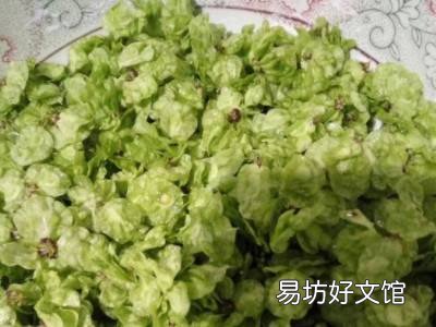 冷冻起来的榆钱怎么吃