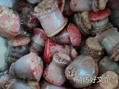 海葵怎么处理才能吃