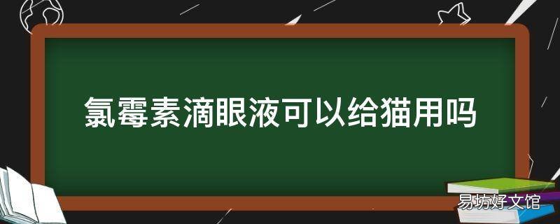 氯霉素滴眼液可以给猫用吗