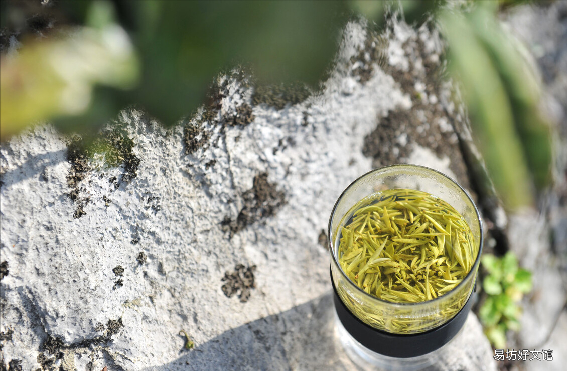 中国正宗十大名茶简介 名茶排名前十的茶