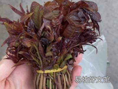 春天炒鸡蛋怎么做好吃