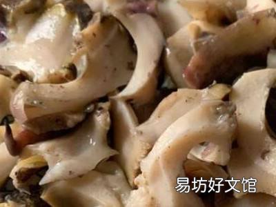 大海螺怎么吃