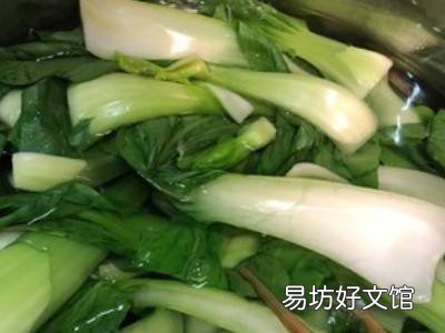 青菜包子馅的怎么做好吃