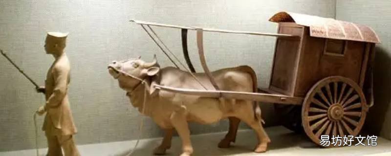 霜叶红猜什么动物