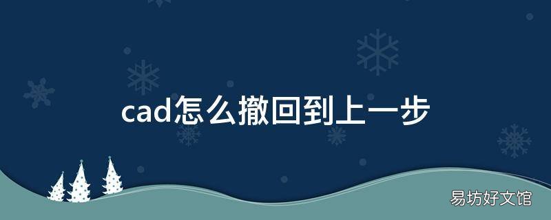 cad怎么撤回到上一步