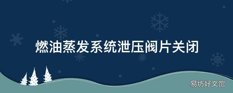 燃油蒸发系统泄压阀片关闭