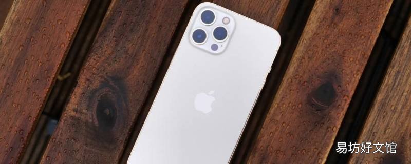 12promax屏幕尺寸
