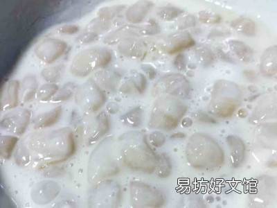 怎么吃扇贝丁