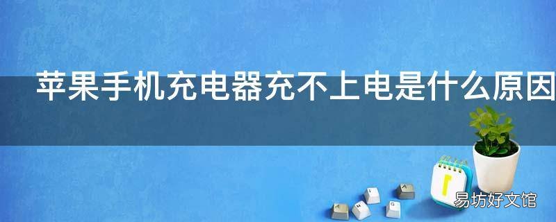 苹果手机充电器充不上电是什么原因