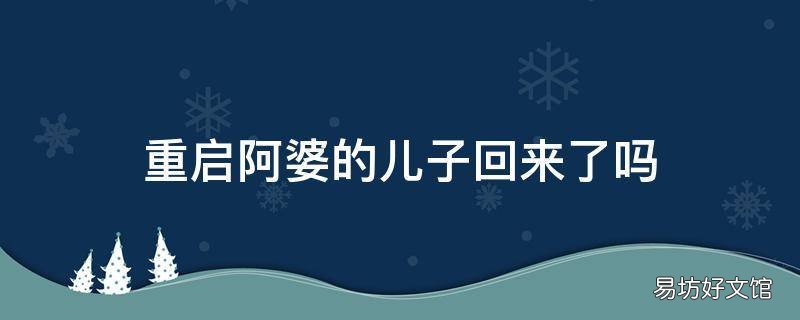 重启阿婆的儿子回来了吗