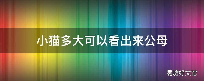小猫多大可以看出来公母