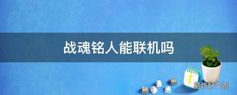 战魂铭人能联机吗