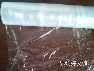 新鲜红菇怎么保存步骤图