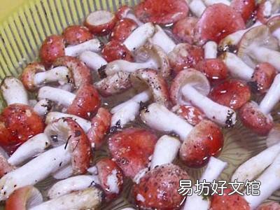 新鲜红菇怎么保存步骤图