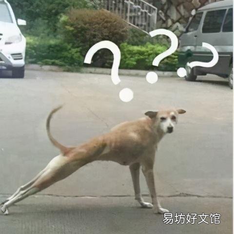 不开火搞定一日三餐 微波炉美食做法大全