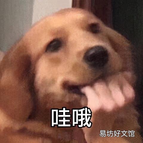 不开火搞定一日三餐 微波炉美食做法大全