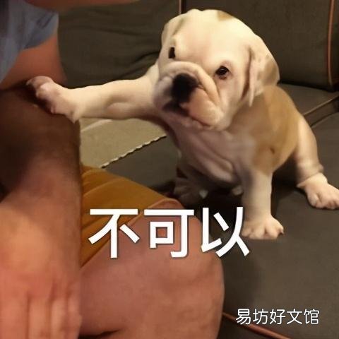 不开火搞定一日三餐 微波炉美食做法大全