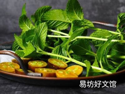干薄荷叶怎么吃
