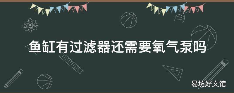 鱼缸有过滤器还需要氧气泵吗