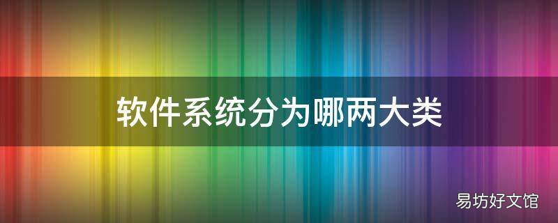 软件系统分为哪两大类