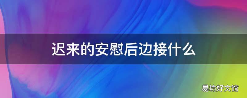 迟来的安慰后边接什么