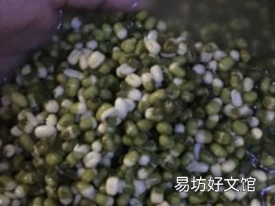 包粽子的绿豆怎么处理