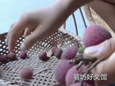 荔枝怎么晒成干的做法
