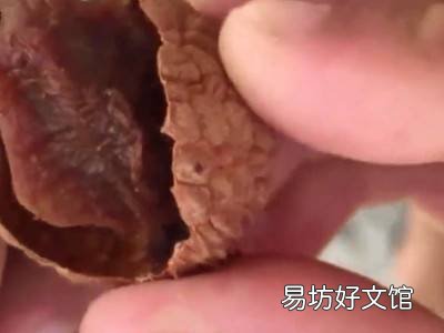 荔枝怎么晒成干的做法